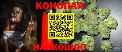 гидропоника Обь