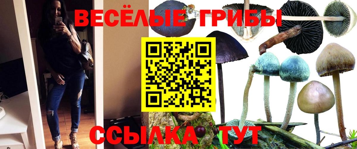 Ангарск  Псилоцибиновые грибы Cubensis  Вход с VPN 